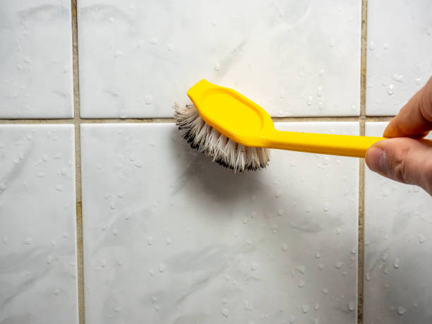 Best Fast Mold Removal  in Alamae, NC